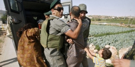 Palestine's nonviolent hope